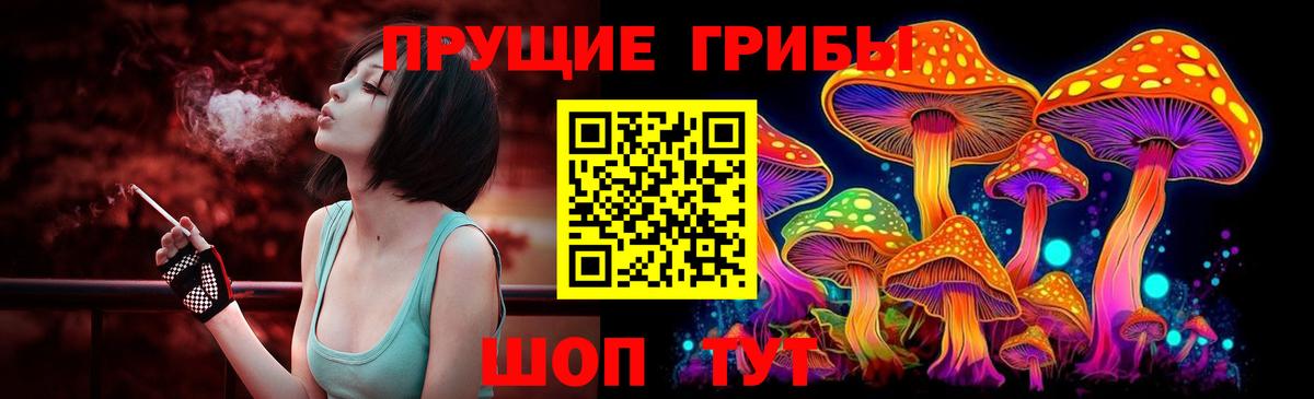 Псилоцибиновые грибы мухоморы  Псилоцибиновые грибы мухоморы  где купить наркоту  Строитель  Вход с VPN 